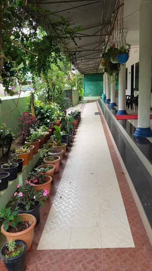 Viduthi Homestay Munnar Exteriör bild